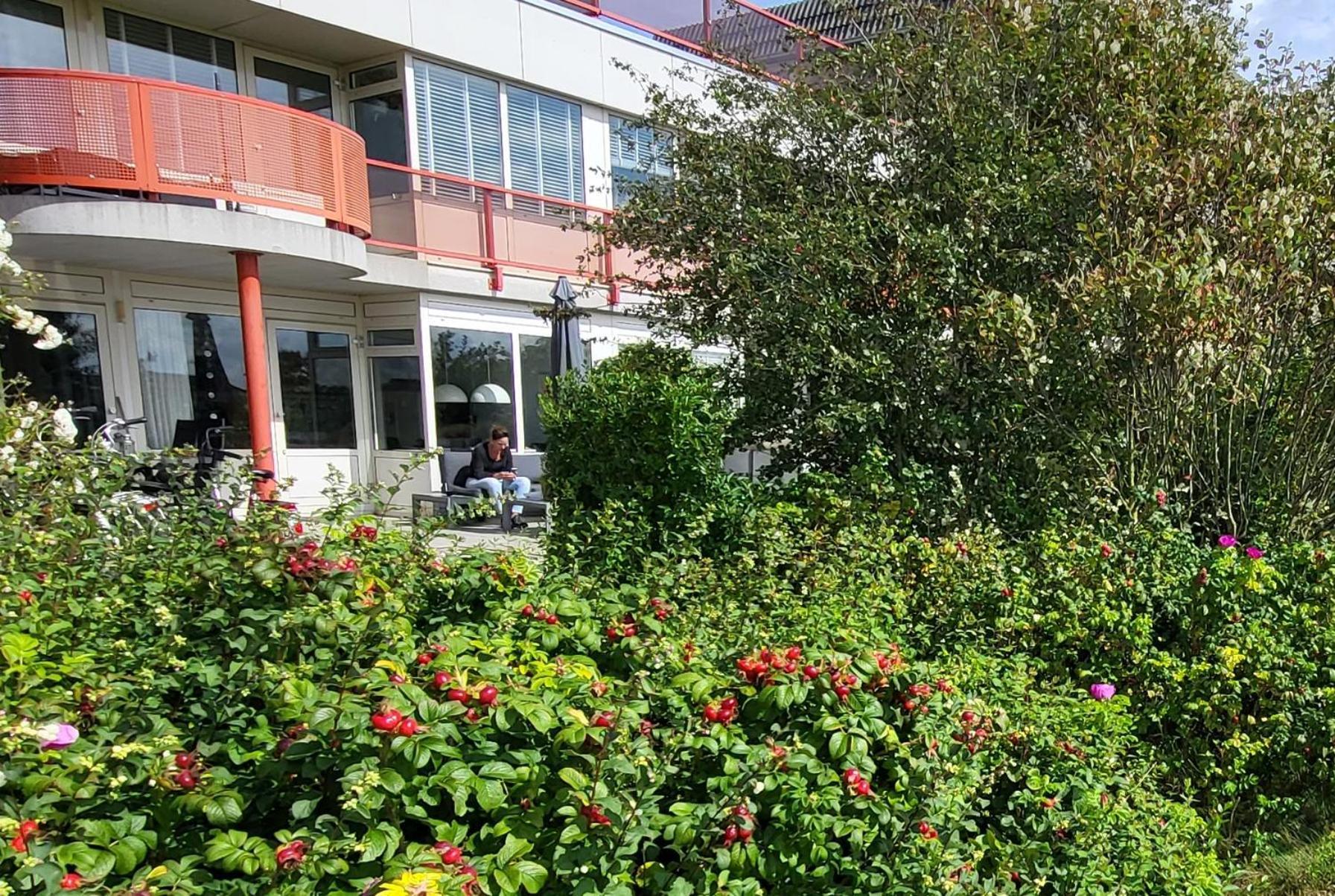 Duinzicht, Amelander Paradijs, Zonnig 6 Persoons Appartement Met Groot Terras Op De Begane Grond, Vrij Uitzicht, Upgrade 2024 Buren  Exterior photo