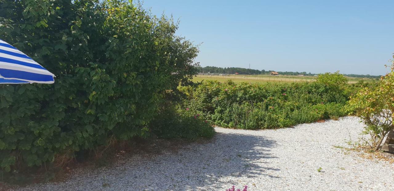 Duinzicht, Amelander Paradijs, Zonnig 6 Persoons Appartement Met Groot Terras Op De Begane Grond, Vrij Uitzicht, Upgrade 2024 Buren  Exterior photo